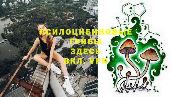 PSILOCYBIN Абаза